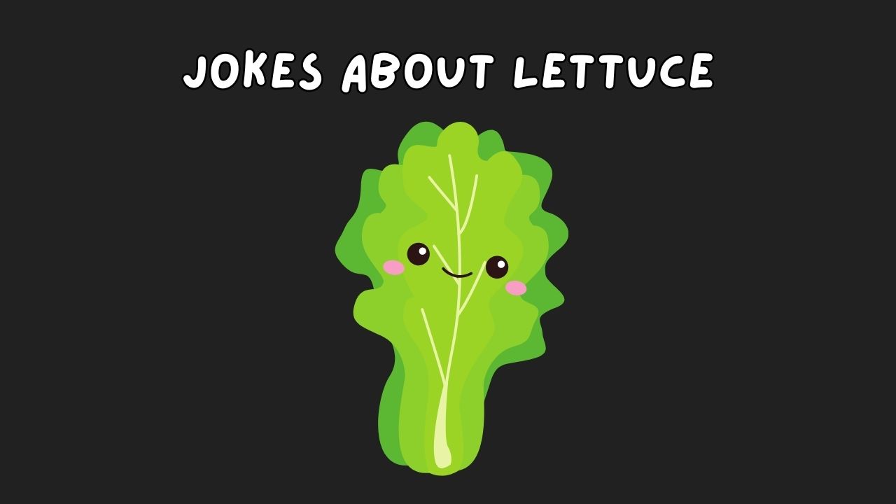 jokes about lettuce , lettuce jokes, funny lettuce jokes, funny jokes about lettuce