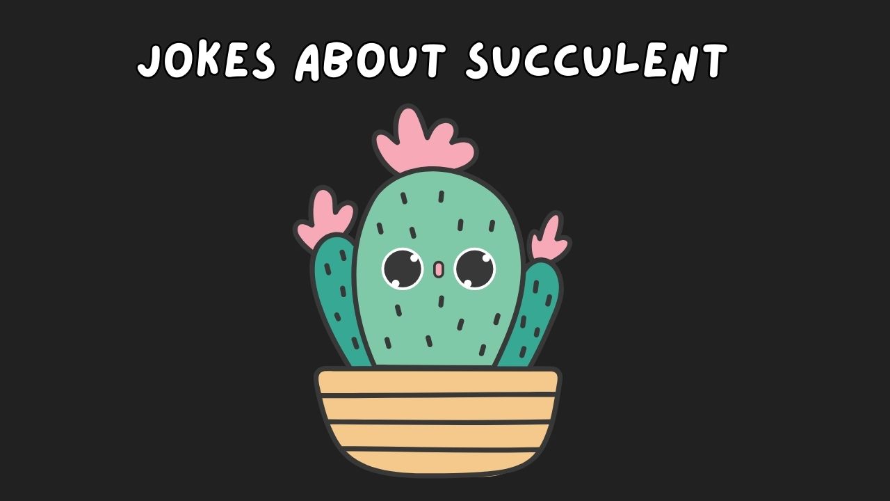 funny succulent Jokes, funny jokes about succulent, succulent Jokes