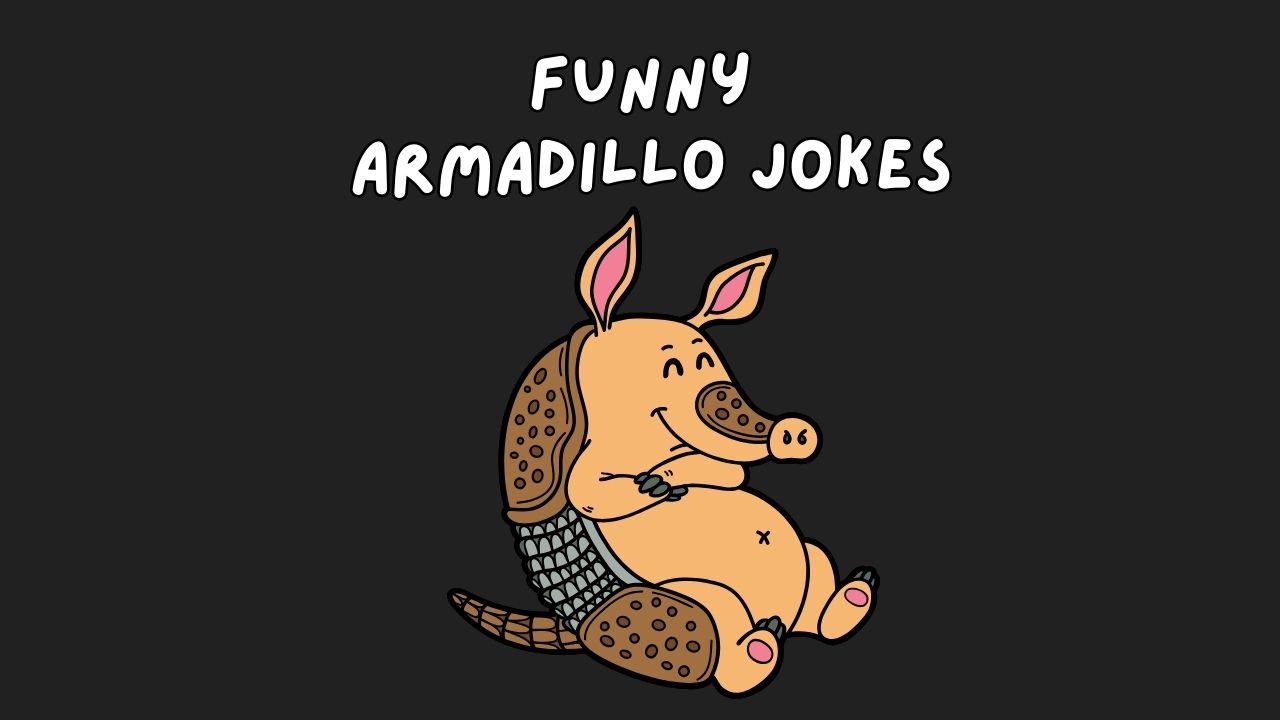 armadillo jokes, funny jokes about armadillo, jokes about armadillo, funny armadillo jokes