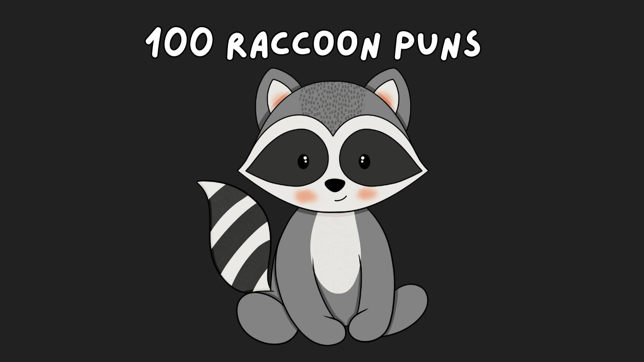 Raccoons Puns