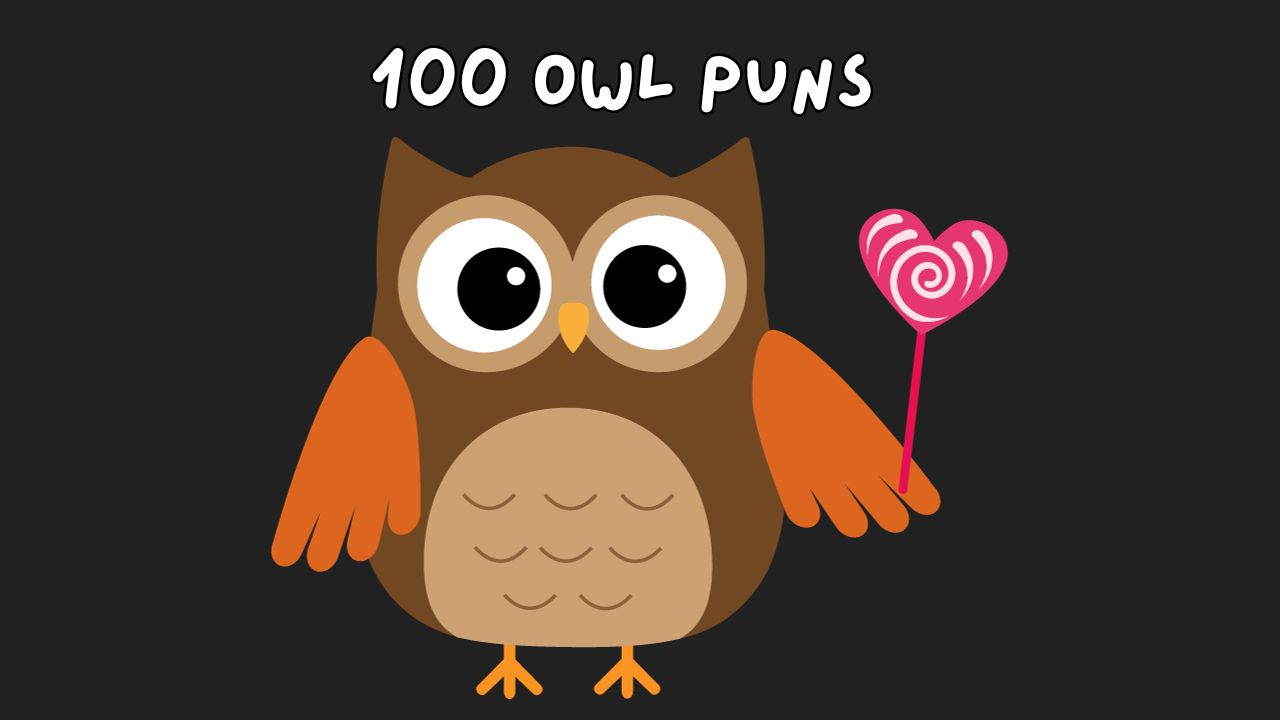 owl puns, puns about owls, funny owl puns, funny puns about owls