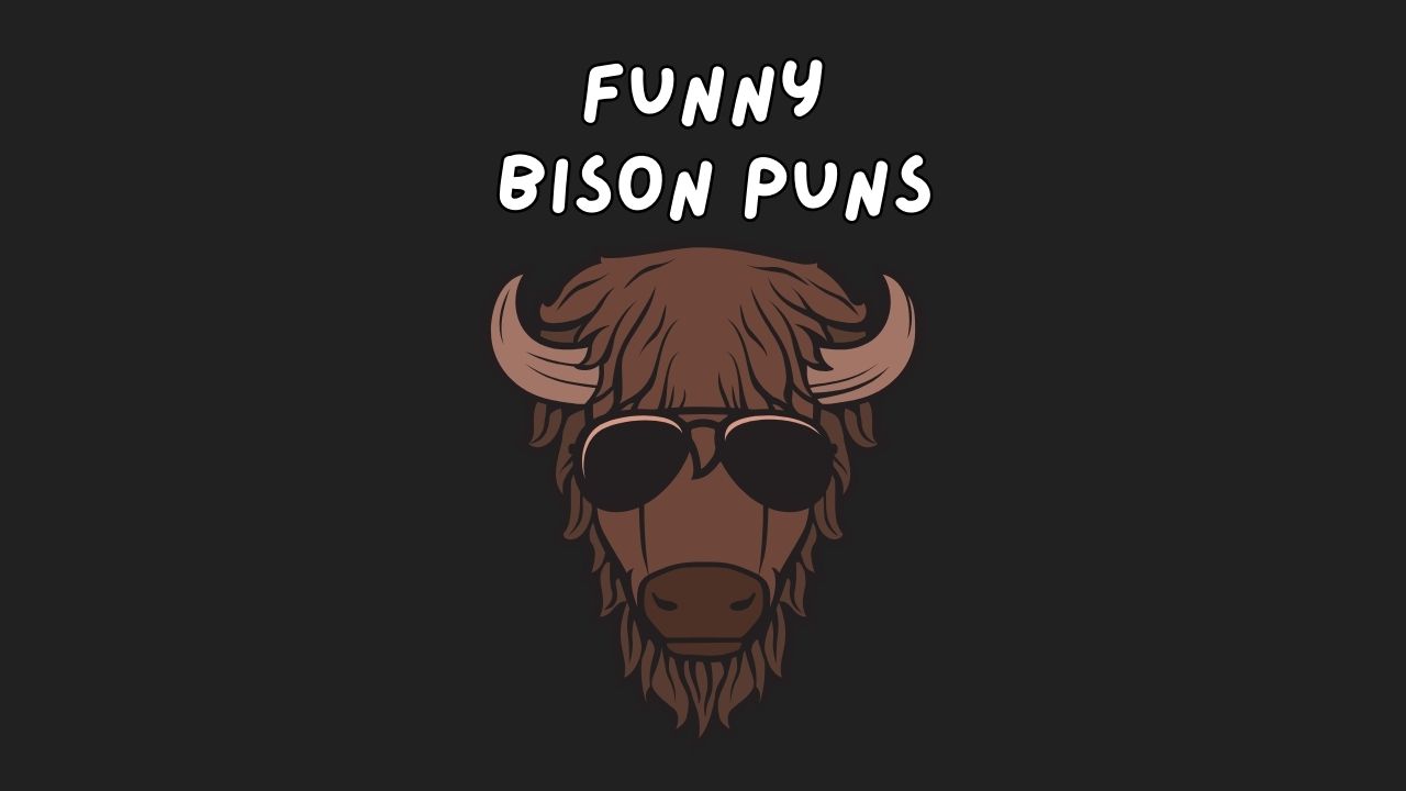 funny bison puns, bison puns